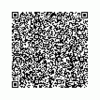 vCard 79825000013