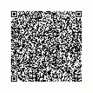 vCard 79825004533