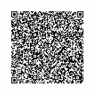 vCard 79825005203