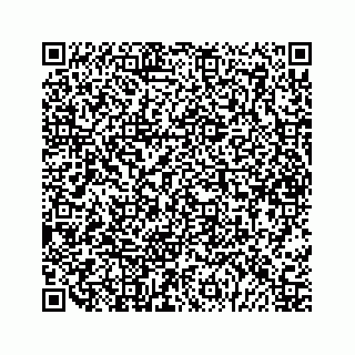 vCard 79825005303