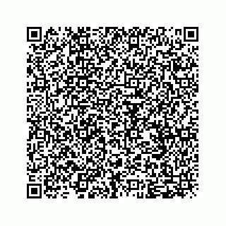 vCard 79825013239