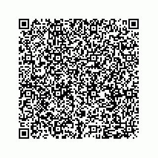 vCard 79825013733