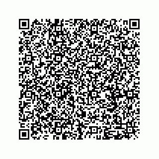 vCard 79825201013