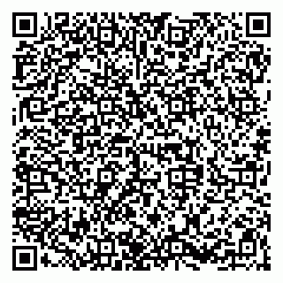 vCard 79828099731