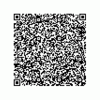 vCard 79833001873