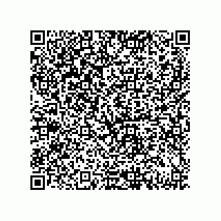 vCard 79833002539