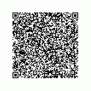 vCard 79833002639