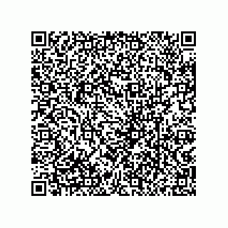 vCard 79833002739