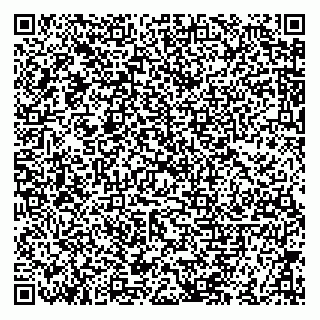 vCard 79833070063