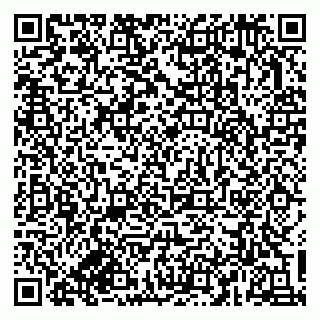 vCard 79833300119