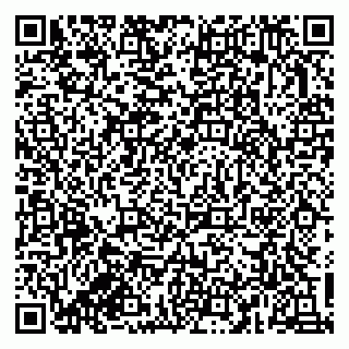 vCard 79833300315