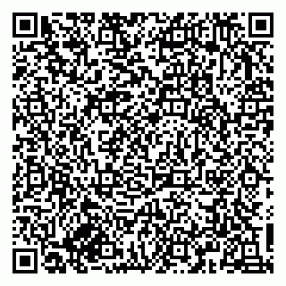 vCard 79833300385