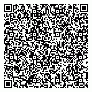 vCard 79834197413
