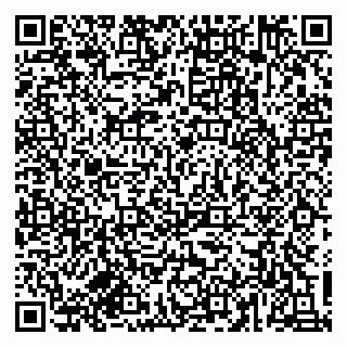 vCard 79834500333