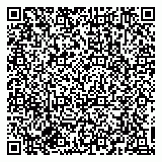 vCard 79834500387