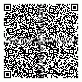 vCard 79838880013