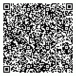 vCard 79838880203