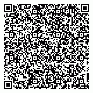 vCard 79838880389