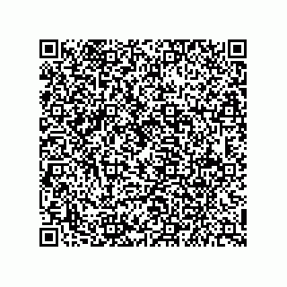 vCard 79841000739