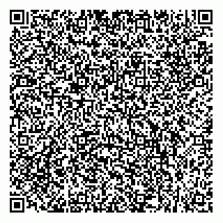 vCard 79851004333