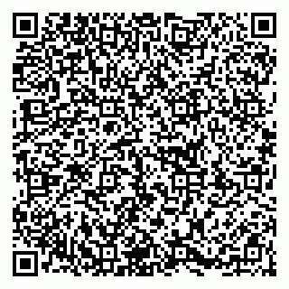 vCard 79853300403