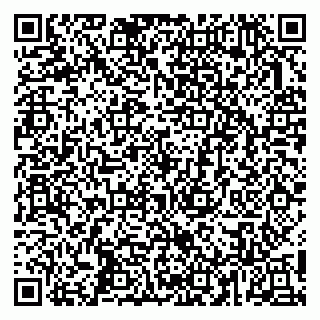 vCard 79853300535