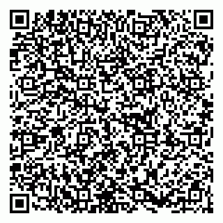 vCard 79853300739