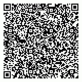 vCard 79859850304
