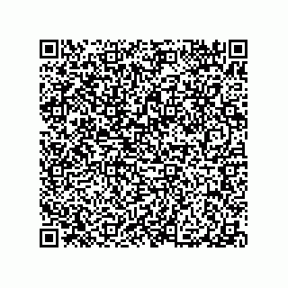 vCard 79870800313