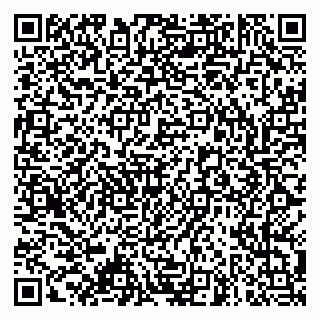 vCard 79873001339