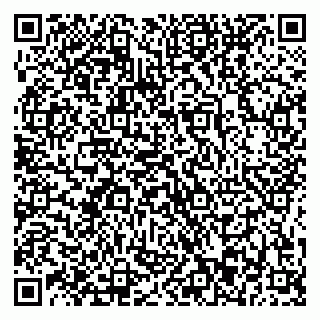 vCard 79874003733