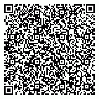 vCard 79874007299