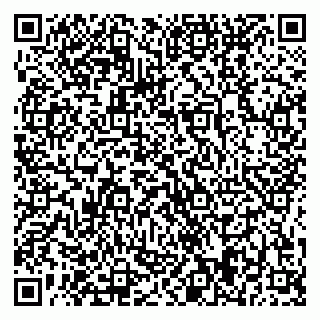 vCard 79874009333
