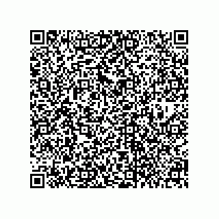 vCard 79875800399