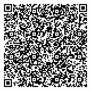 vCard 79877013539