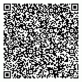 vCard 79878000539