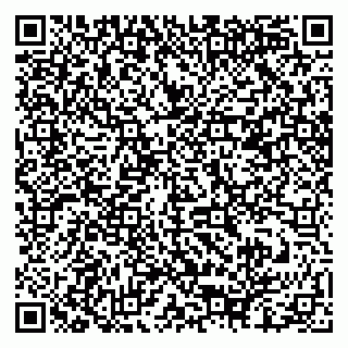 vCard 79878200085