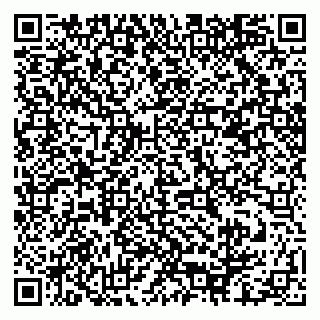 vCard 79878200370