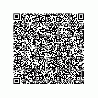 vCard 79880520500
