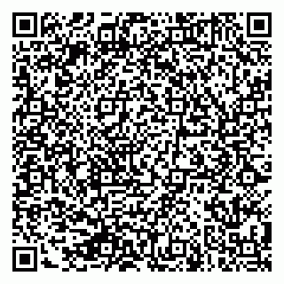 vCard 79880850131