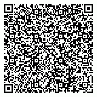 vCard 79880850138
