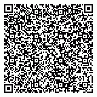 vCard 79880850181