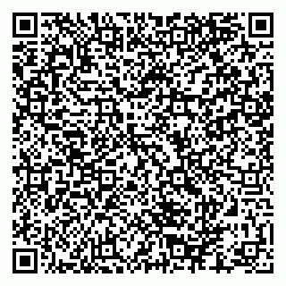 vCard 79880850203
