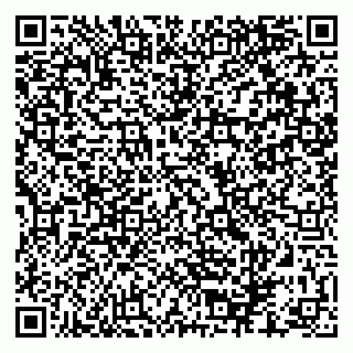 vCard 79880850233