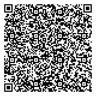 vCard 79880850331