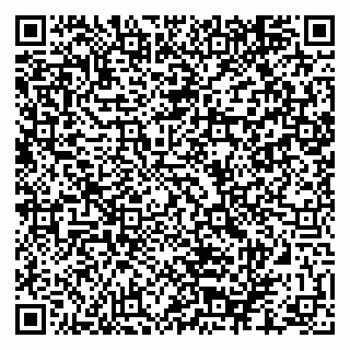 vCard 79880850391