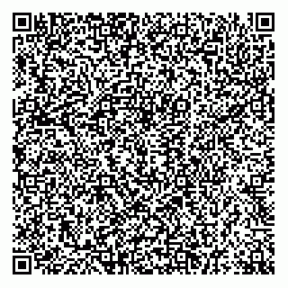 vCard 79880890800