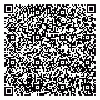 vCard 79889530293