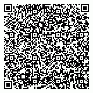 vCard 79889530393