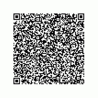 vCard 79889590389